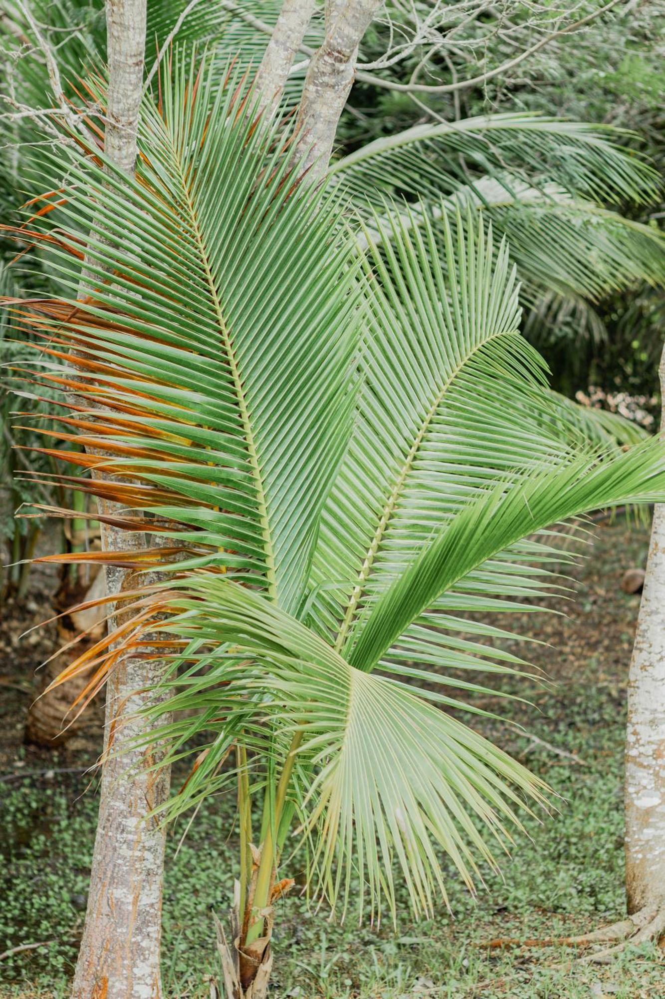 Mayan Playa Bacalar Εξωτερικό φωτογραφία
